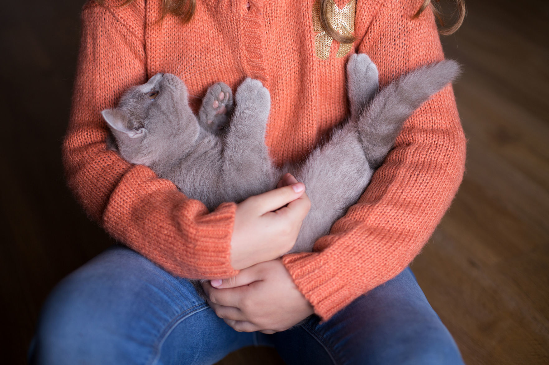Pet sitters